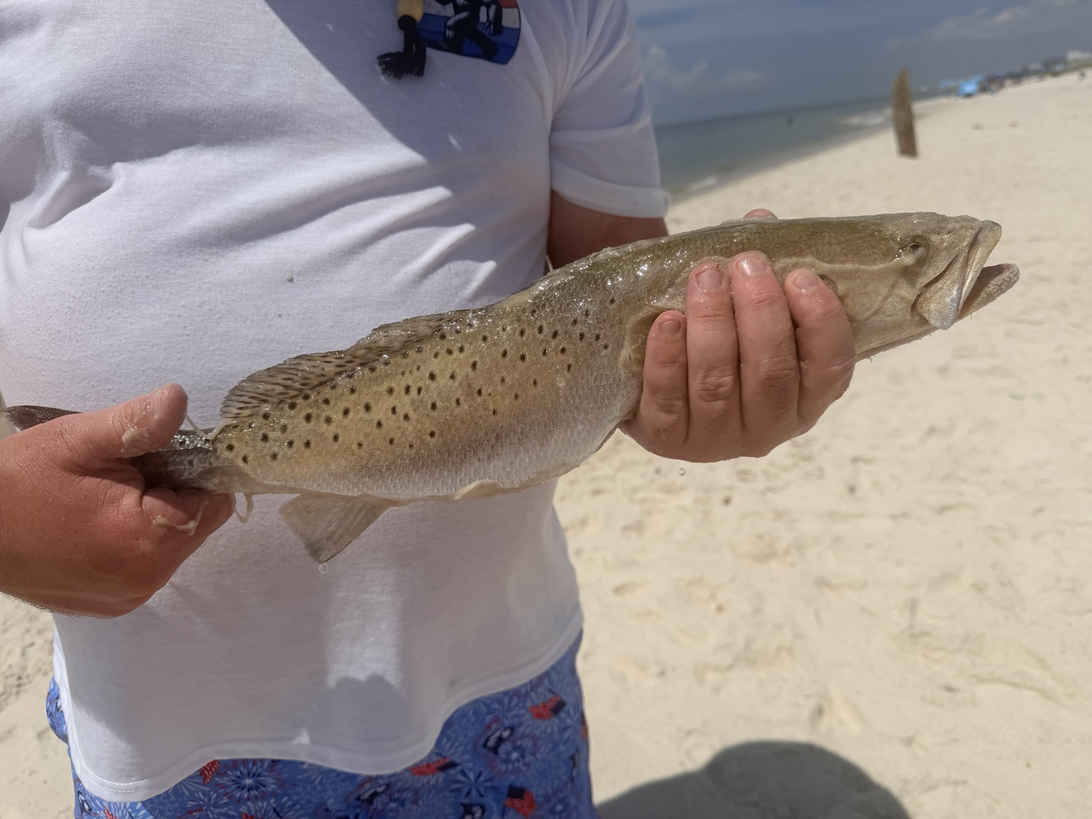 Angler holding a spotted saltwater fish on the beach